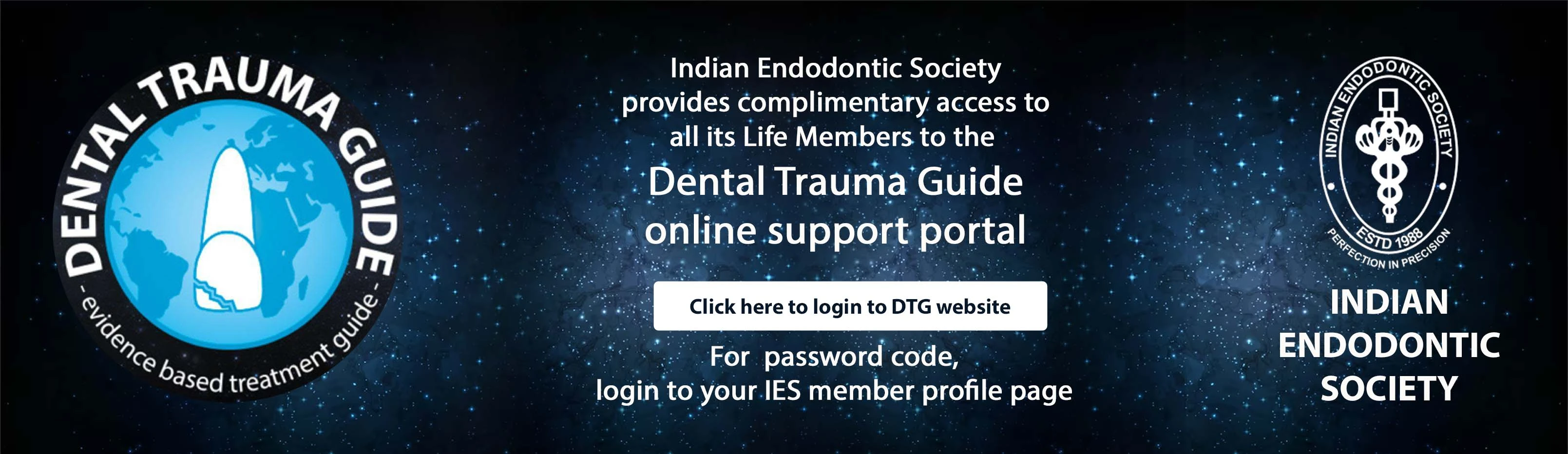 Dental Trauma Guide
