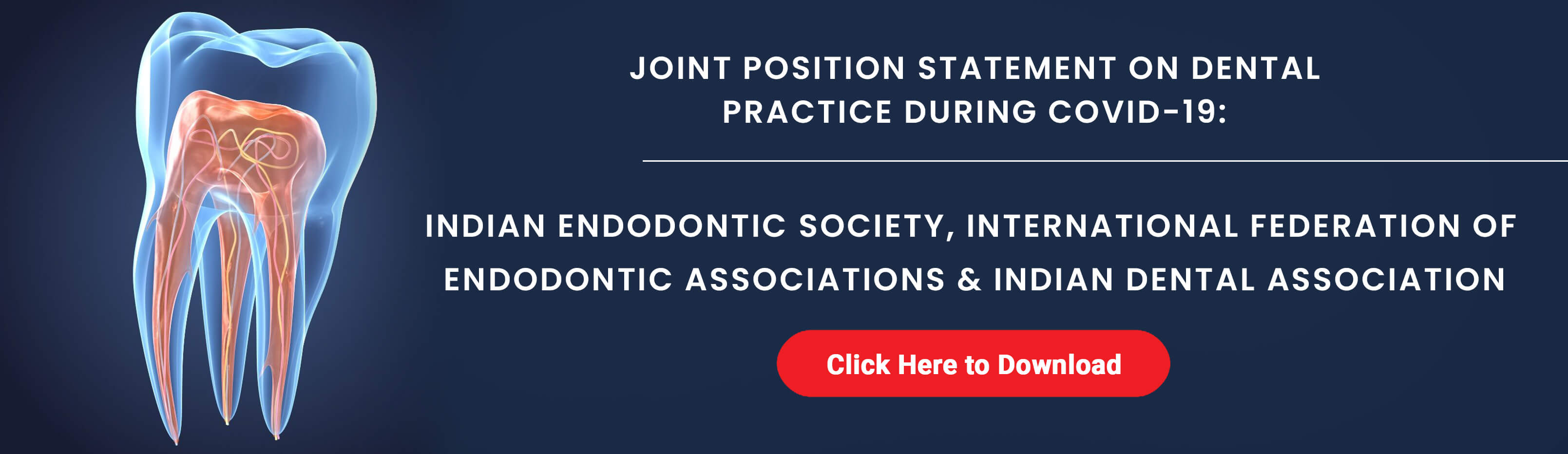 Dental Practice